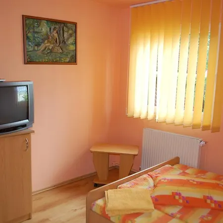 Casa Kiss * Sovata